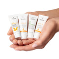 Image-Four Star Favourites